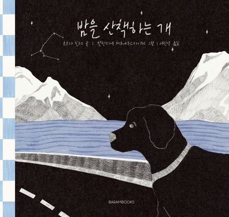 밤을 산책하는 개