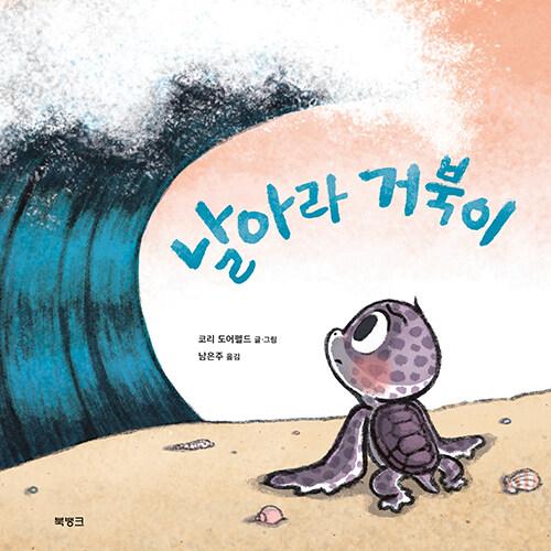날아라 거북이