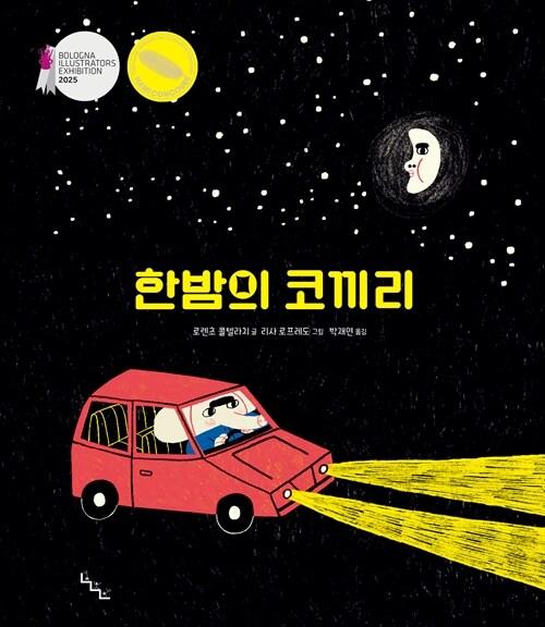한밤의 코끼리